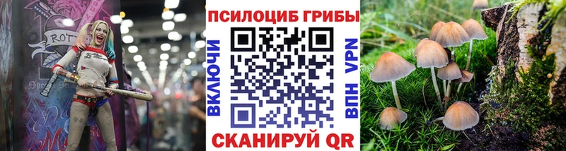 где купить наркотик  Лыткарино  kraken как зайти  Галлюциногенные грибы мицелий 